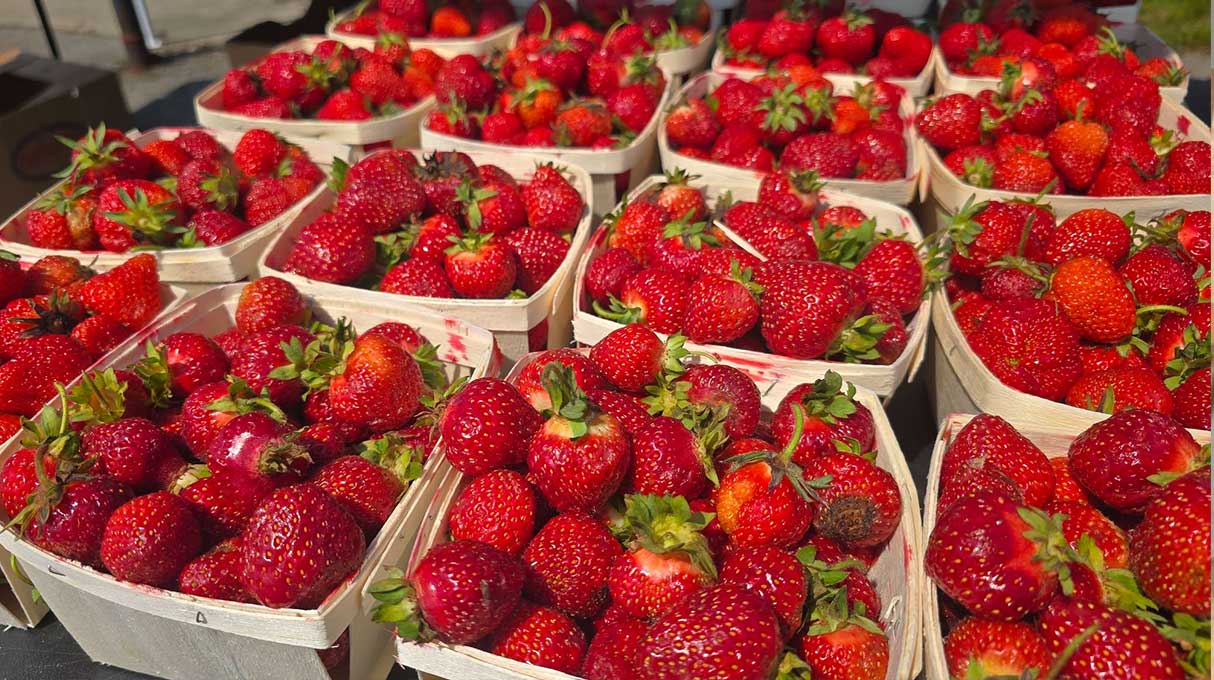 Riverview Produce Farms 2