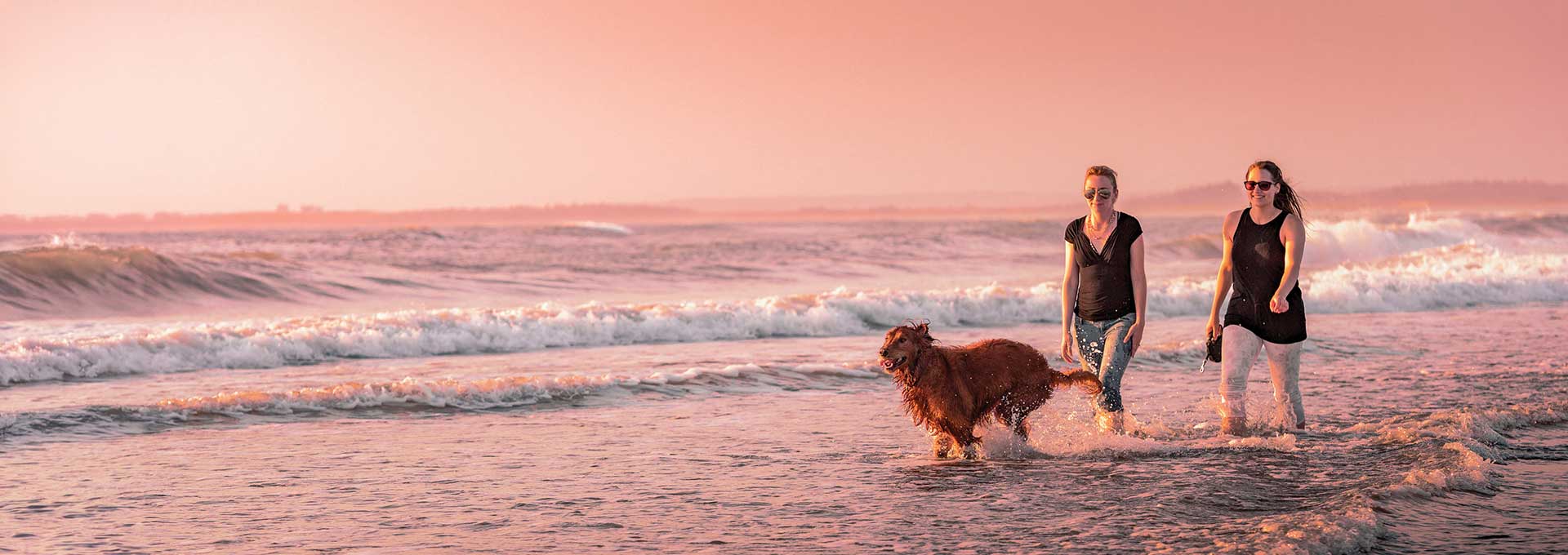 Beaches & Lakes